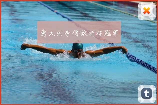 意大利夺得欧洲杯冠军