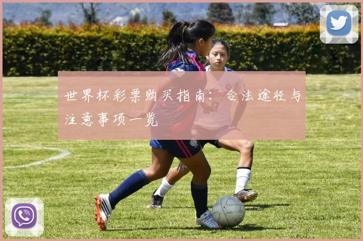 世界杯彩票购买指南：合法途径与注意事项一览
