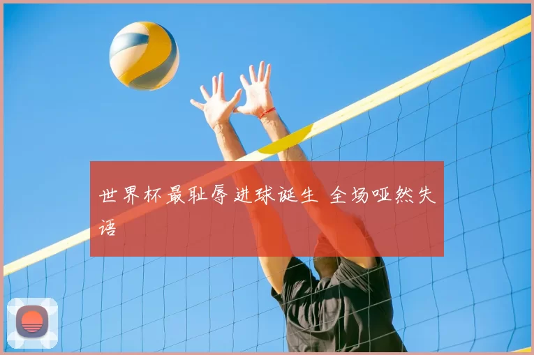 世界杯最耻辱进球诞生 全场哑然失语