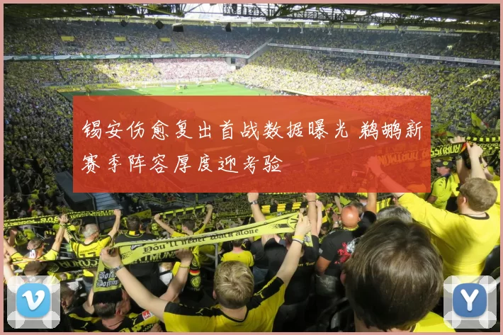 锡安伤愈复出首战数据曝光 鹈鹕新赛季阵容厚度迎考验