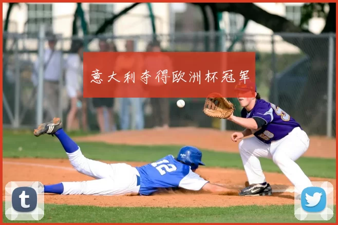 意大利夺得欧洲杯冠军